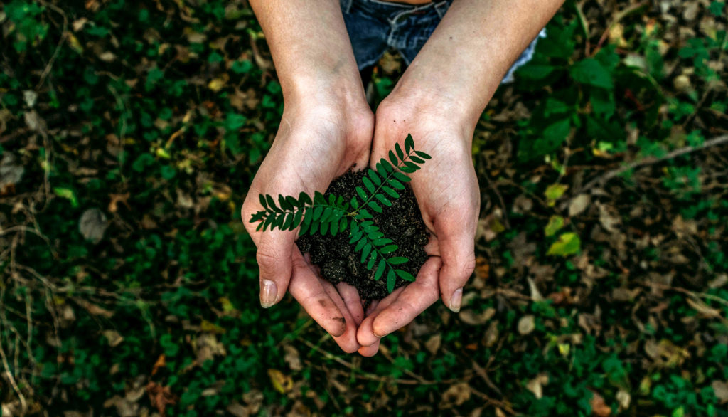 What I Mean by Catalytic Philanthropy
